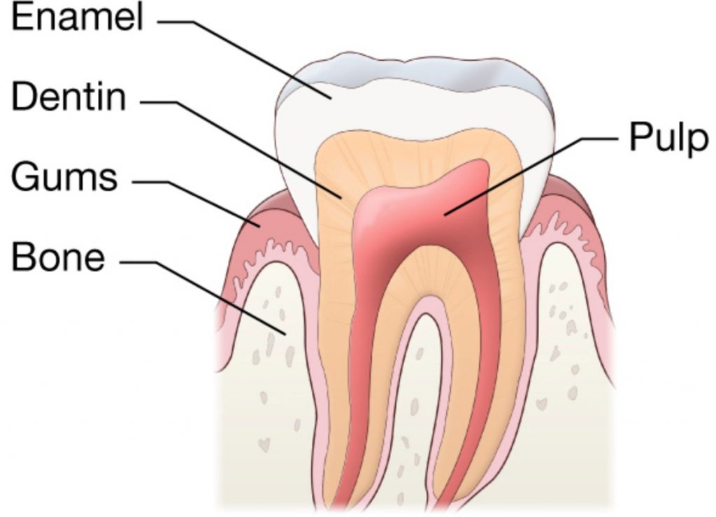 sensitive-teeth-causes-of-sensitive-teeth-sensitive-teeth-relief